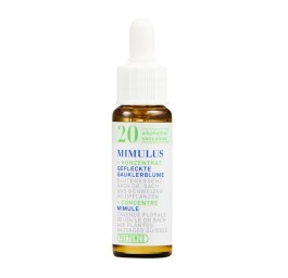 PHYTOMED No20 Bach Concen goutt sans alcool 10 ml