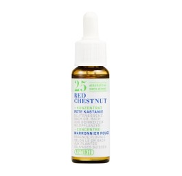 PHYTOMED No25 Bach Concen goutt sans alcool 10 ml