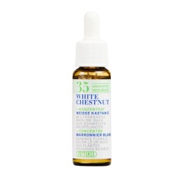 PHYTOMED No35 Bach Concen goutt sans alcool 10 ml