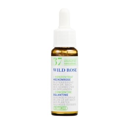 PHYTOMED No37 Bach Concen goutt sans alcool 10 ml