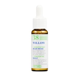 PHYTOMED No38 Bach Concen goutt sans alcool 10 ml