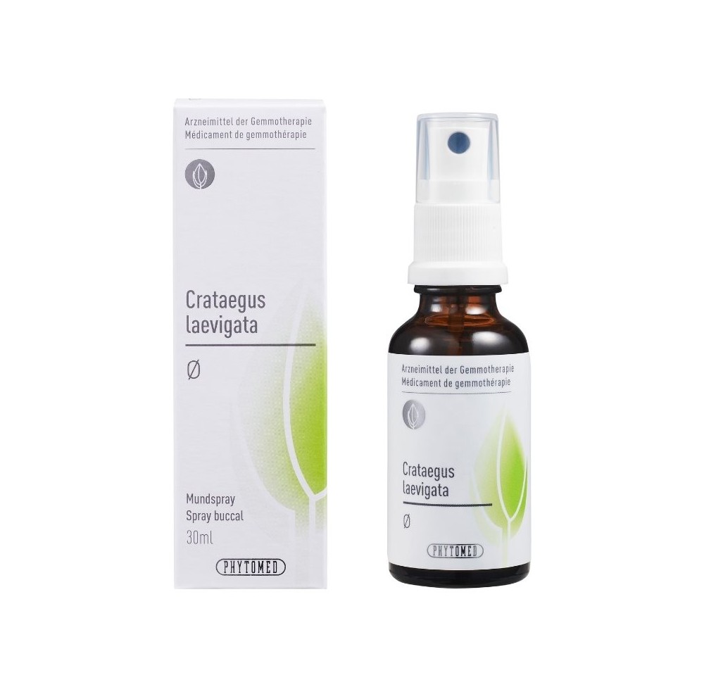 PHYTOMED GEMMO Crataegus laevig teint mère 30 ml