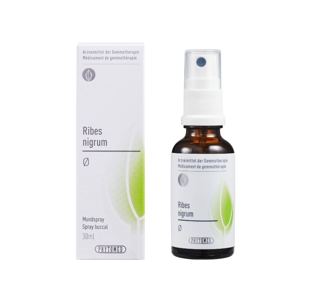 PHYTOMED GEMMO Ribes nigrum teint mère spr 30 ml