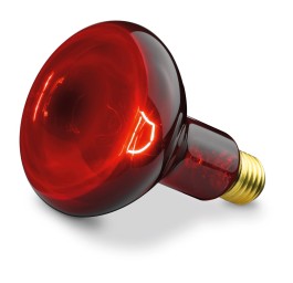 BEURER ampoule rechange pour IL 11/Medel Inf Red
