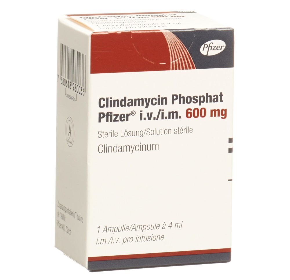 CLINDAMYCIN PHOSPHAT Pfizer 600 mg/4ml amp 4 ml CLINDAMYCIN PHOSPHAT Pfizer 600 mg/4ml amp 4 ml