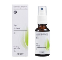 PHYTOMED GEMMO Vitis vinifera liq 1 D spr 30 ml
