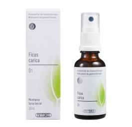 PHYTOMED GEMMO Ficus carica liq 1 D spr 30 ml