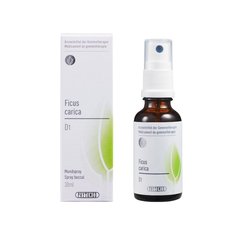 PHYTOMED GEMMO Ficus carica liq 1 D spr 30 ml