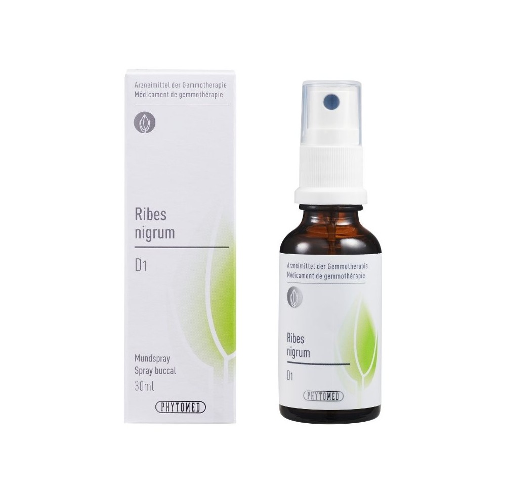 PHYTOMED GEMMO Ribes nigrum liq 1 D spr 30 ml