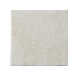 BIATAIN Alginate 15x15cm 10 pce