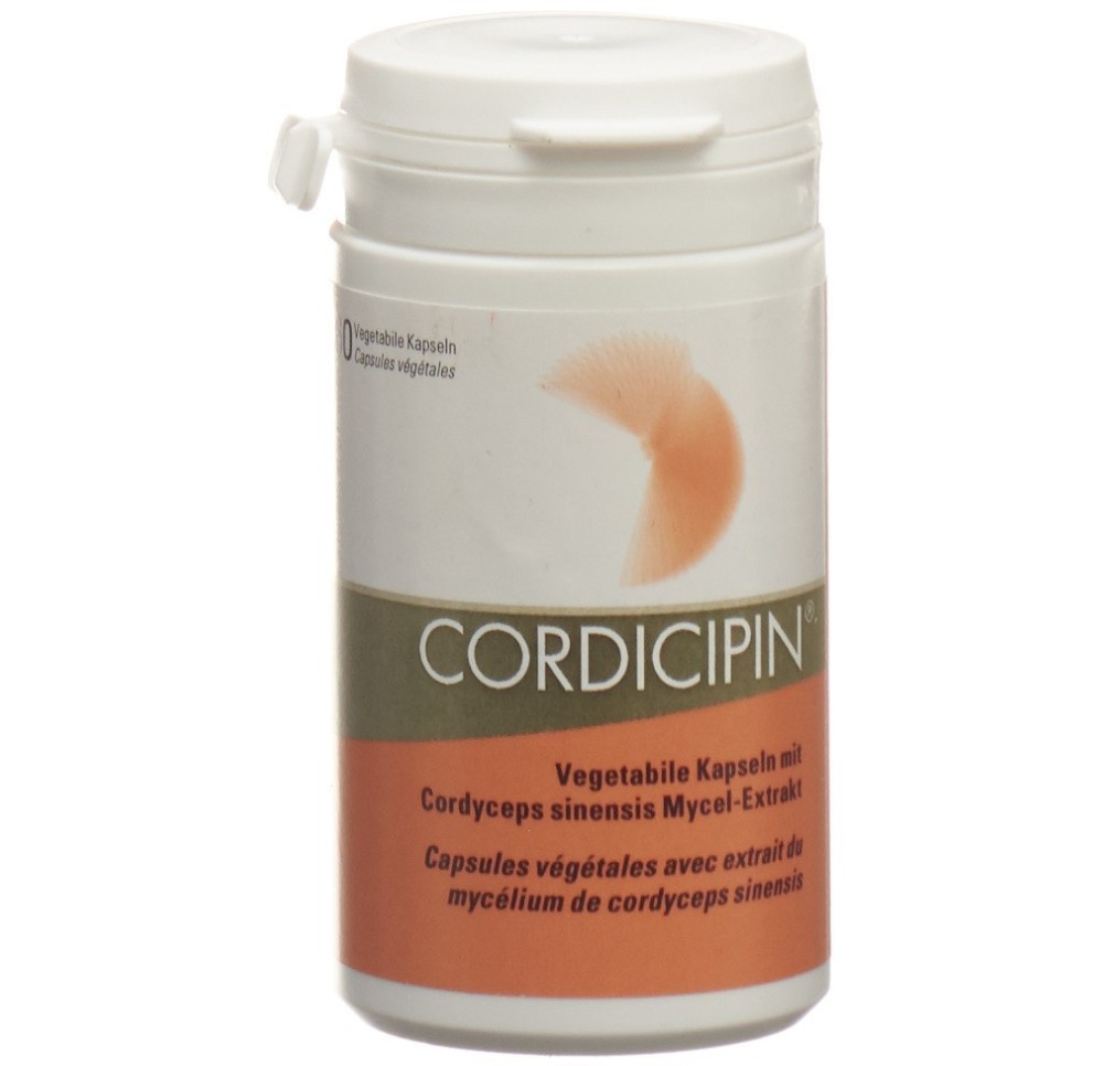 CORDICIPIN extrait champignons vital caps 60 pce CORDICIPIN extrait champignons vital caps 60 pce