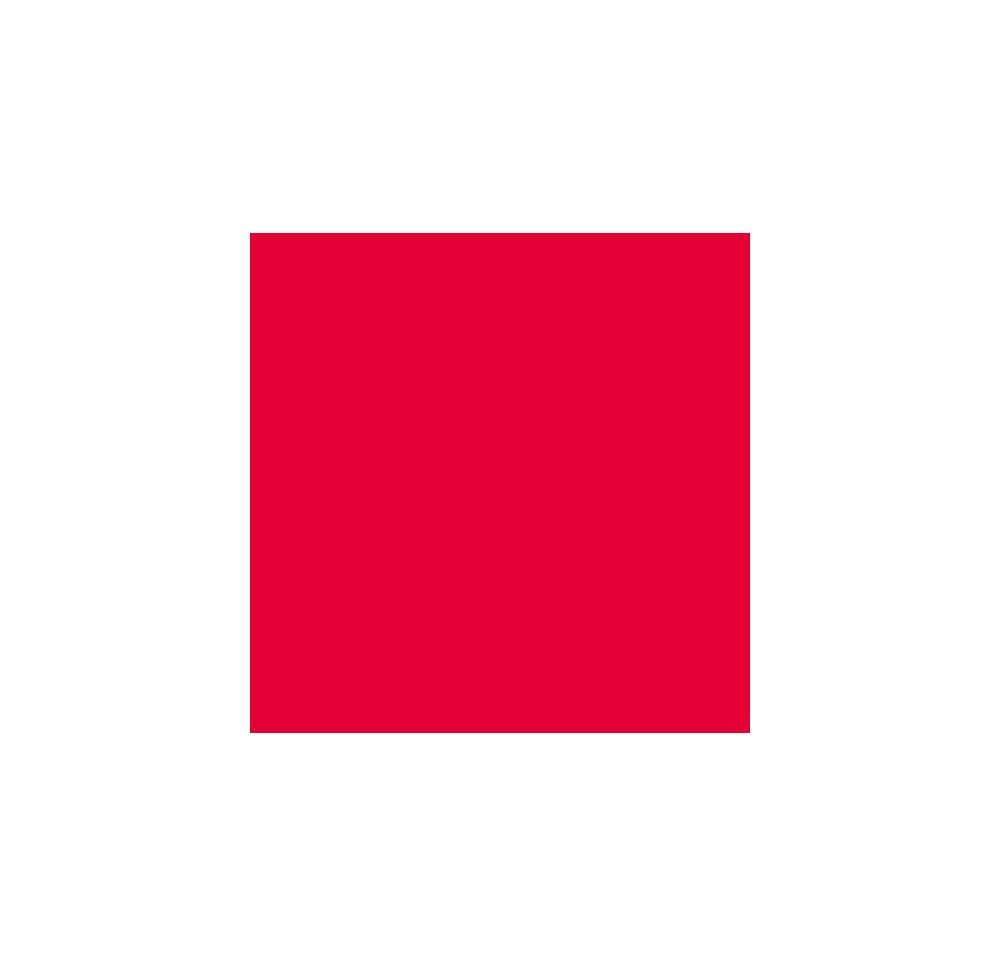 ELSA housse pour oreiller 50x70cm velours rouge