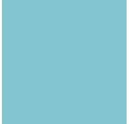 ELSA housse pour oreiller 30x40cm velours bleu cla