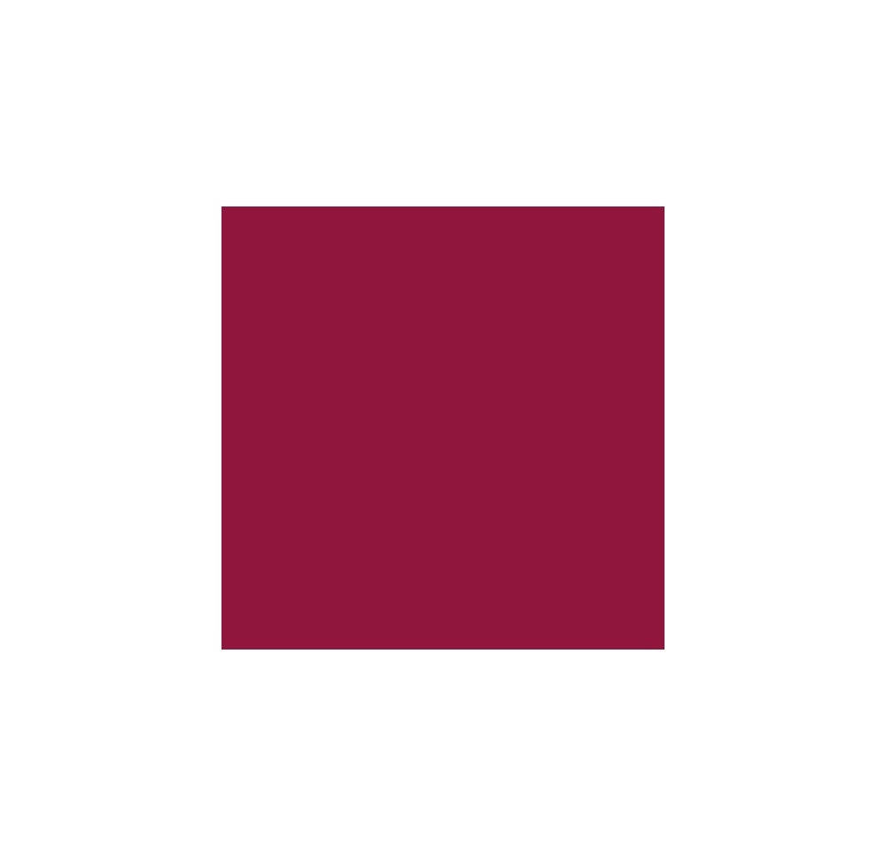 ELSA housse pour oreiller 30x40cm velours bordeaux