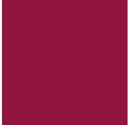 ELSA housse pour oreiller 30x40cm velours bordeaux