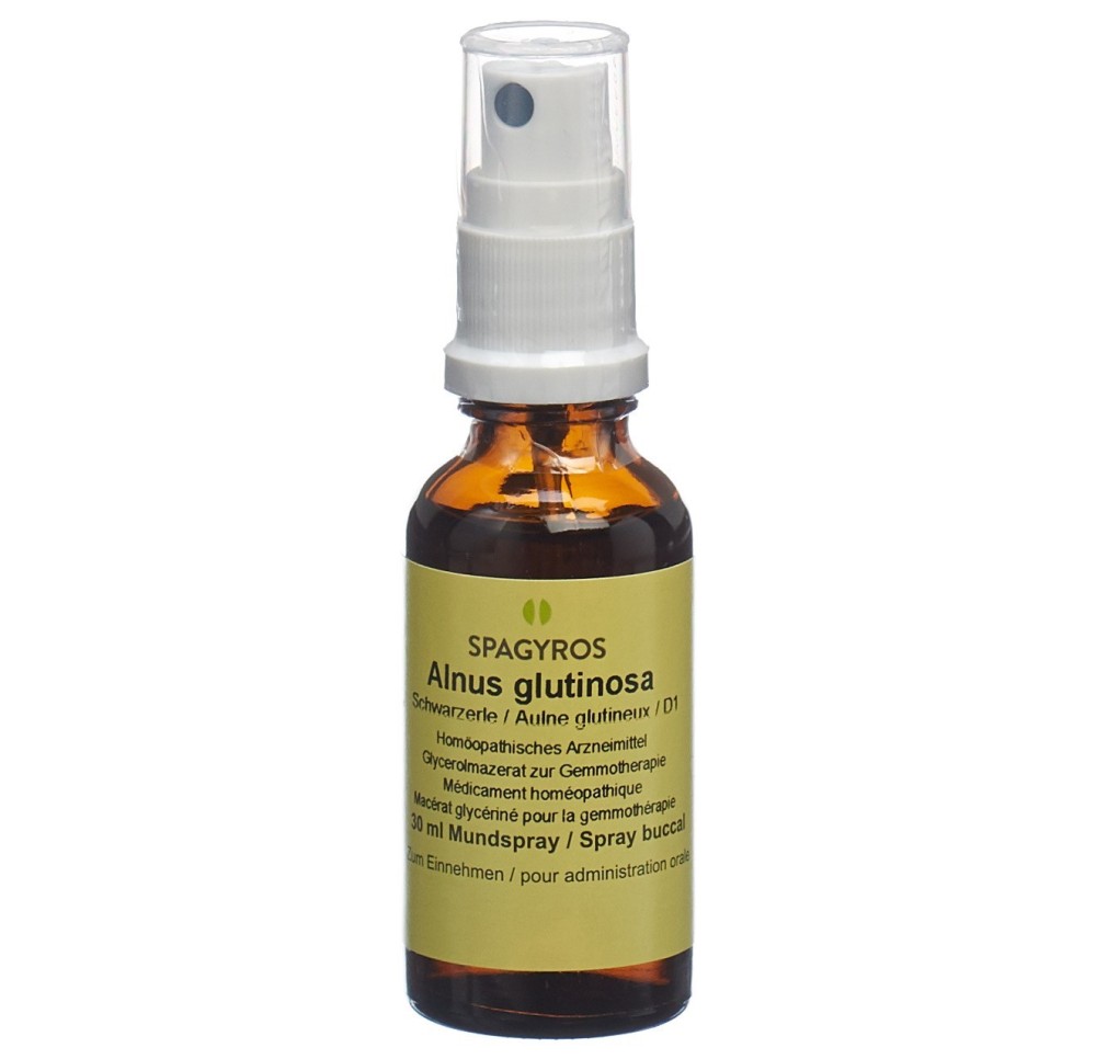 SPAGYROS GEMMO alnus glutinosa mac glyc 1 D 30 ml