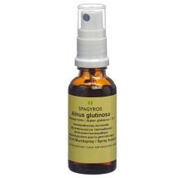 SPAGYROS GEMMO alnus glutinosa mac glyc 1 D 30 ml