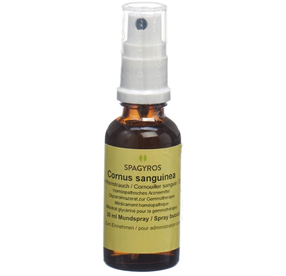 SPAGYROS GEMMO cornus sanguin mac glyc 1 D 30 ml