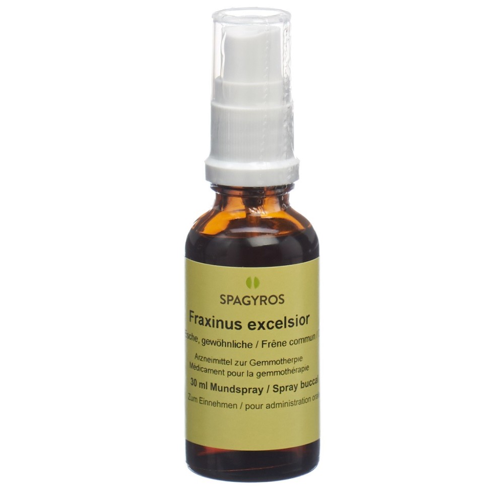 SPAGYROS GEMMO fraxinus excel mac glyc 1 D 30 ml