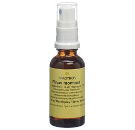 SPAGYROS GEMMO pinus montana mac glyc 1 D 30 ml