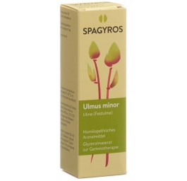 SPAGYROS GEMMO ulmus minor mac glyc 1 D 30 ml