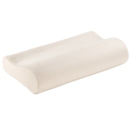 ELSA oreiller 50x11cm housse velours écru