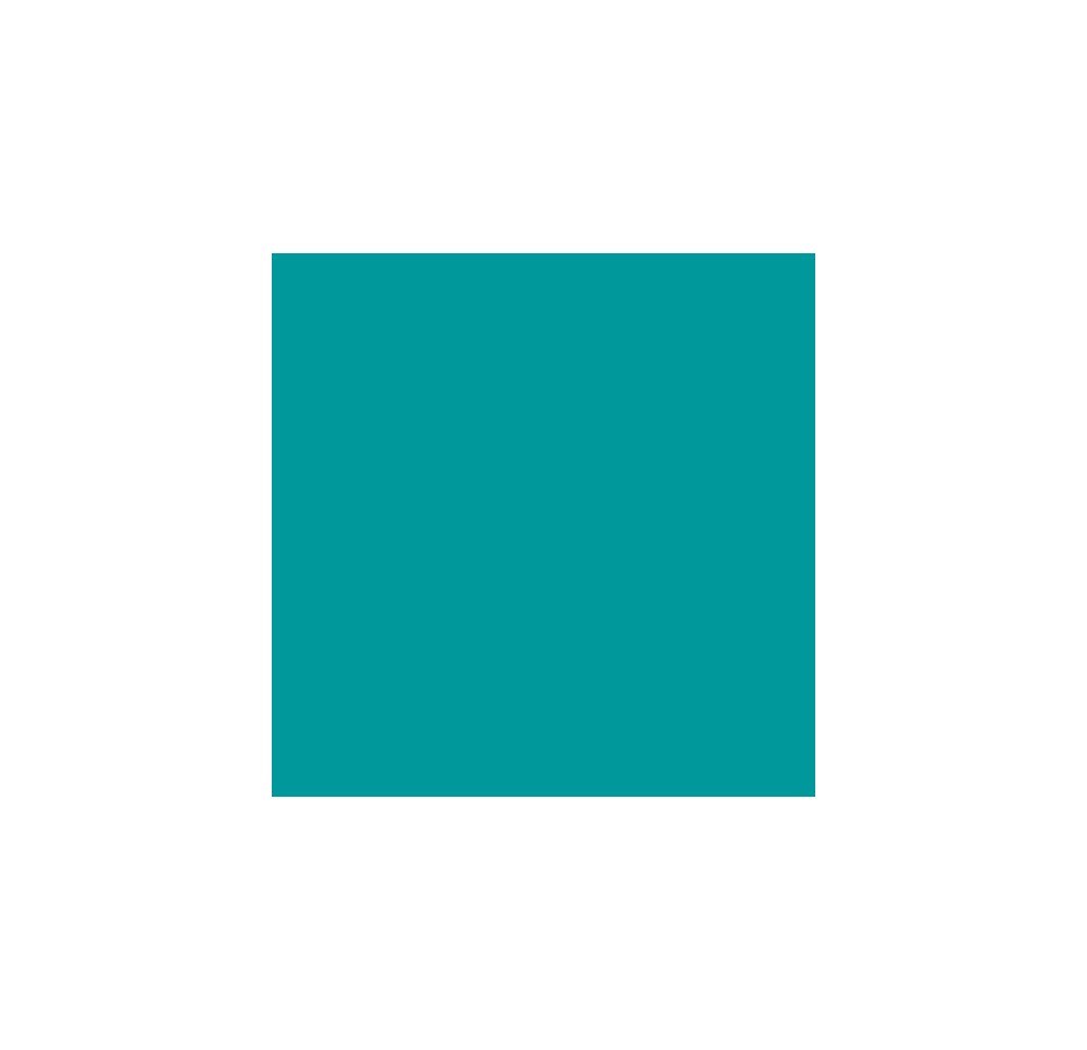 ELSA housse pour oreiller 50x11cm velours turquoi