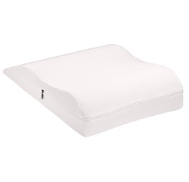 ELSA oreiller veineux 50x22cm housse velours royal