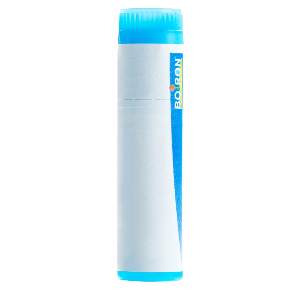 BOIRON thuya occidentalis glob 9 CH 1 dos
