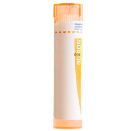 BOIRON arsenicum album gran 15 CH 4 g