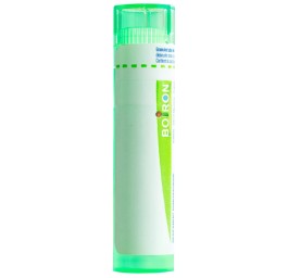 BOIRON bryonia gran 5 CH 4 g