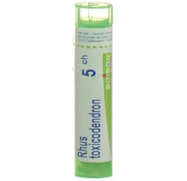 BOIRON rhus toxicodendron gran 5 CH 4 g