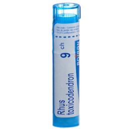 BOIRON rhus toxicodendron gran 9 CH 4 g