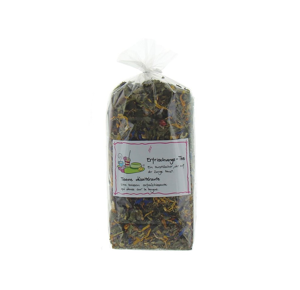 HERBORISTERIA tisane désaltérante en cornet 80 g