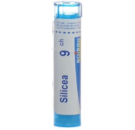 BOIRON silicea gran 9 CH 4 g