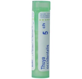 BOIRON thuya occidentalis gran 5 CH 4 g