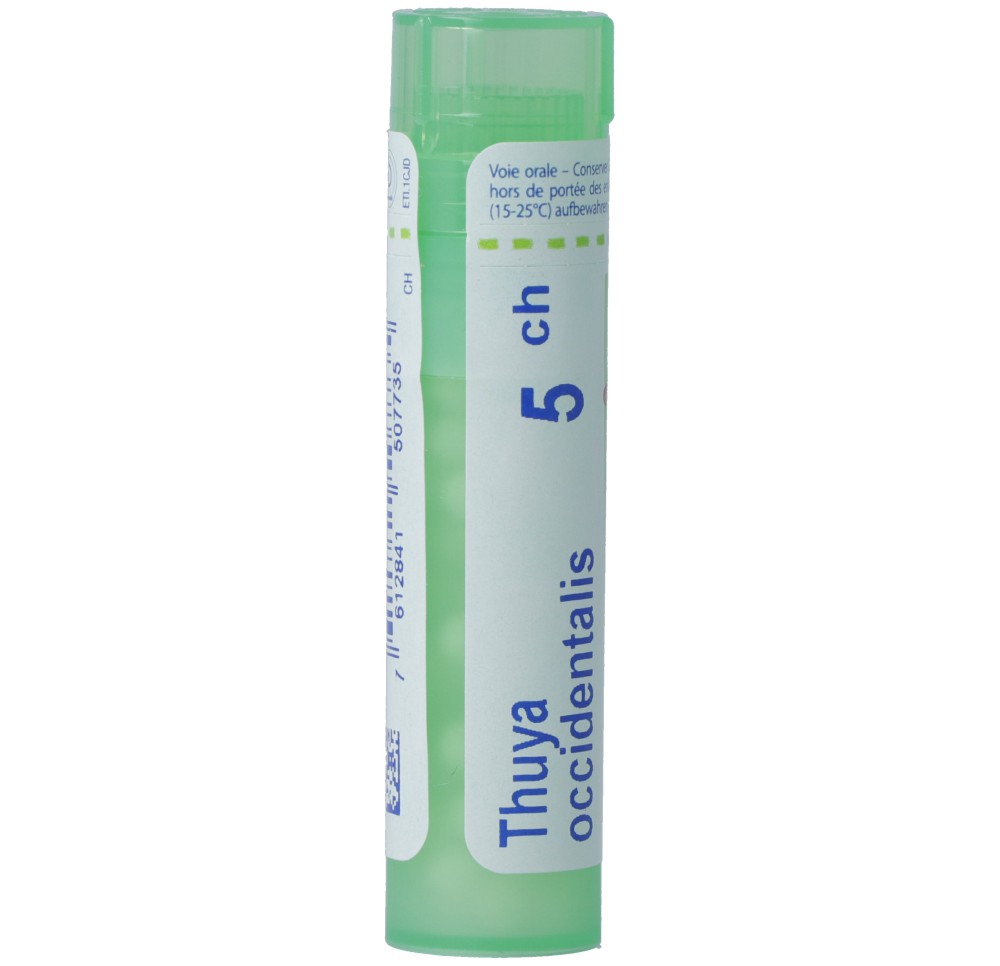 BOIRON thuya occidentalis gran 5 CH 4 g