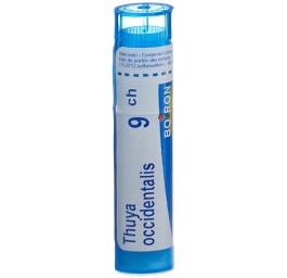 BOIRON thuya occidentalis gran 9 CH 4 g