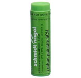 SN ledum palustre glob 9 CH 1 g