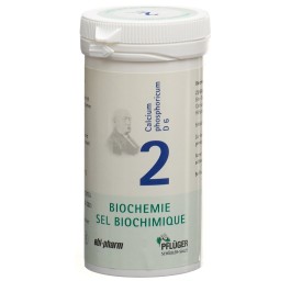 PFLÜGER SCHÜSSLER no2 calc phos cpr 6 D 100 g