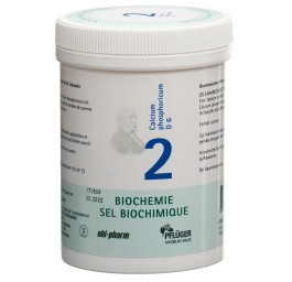 PFLÜGER SCHÜSSLER no2 calc phos cpr 6 D 250 g