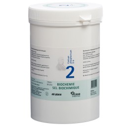 PFLÜGER SCHÜSSLER no2 calc phos cpr 6 D 1000 g