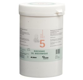 PFLÜGER SCHÜSSLER no5 kal phos cpr 6 D 1000 g