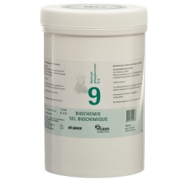 PFLÜGER SCHÜSSLER no9 natr phos cpr 6 D 1000 g