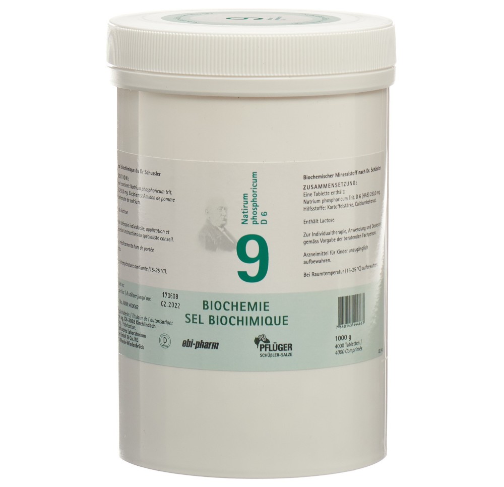 PFLÜGER SCHÜSSLER no9 natr phos cpr 6 D 1000 g