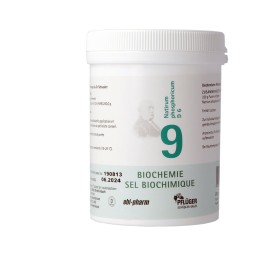 PFLÜGER SCHÜSSLER no9 natr phos pdr 6 D 250 g