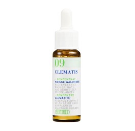 PHYTOMED Ess floral Bach no9 clématite fl 10 ml