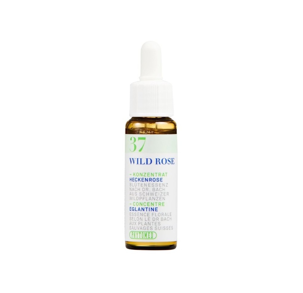PHYTOMED Ess floral Bach no37 églantine fl 10 ml