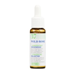 PHYTOMED Ess floral Bach no37 églantine fl 10 ml