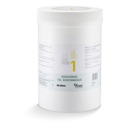 PFLÜGER SCHÜSSLER no1 calc fluo pdr 12 D 1 kg